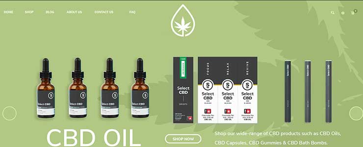 cbd website design rocket web designer - Professional Website Design Company