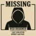 how to find the best web designer in 2025 - missing web designer