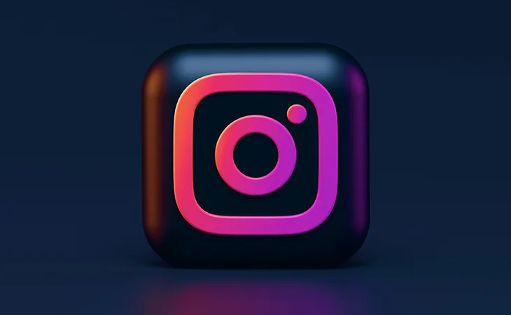 Instagram Is Not Enough for Your Business - Instagram Logo